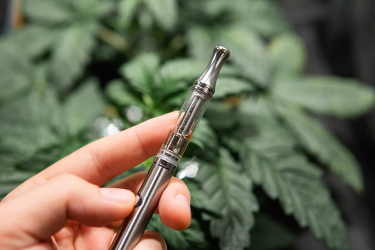 Want to search the vest CBD vape device