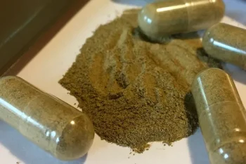 Understanding How Red Maeng Da Differs from Other Kratom Strains